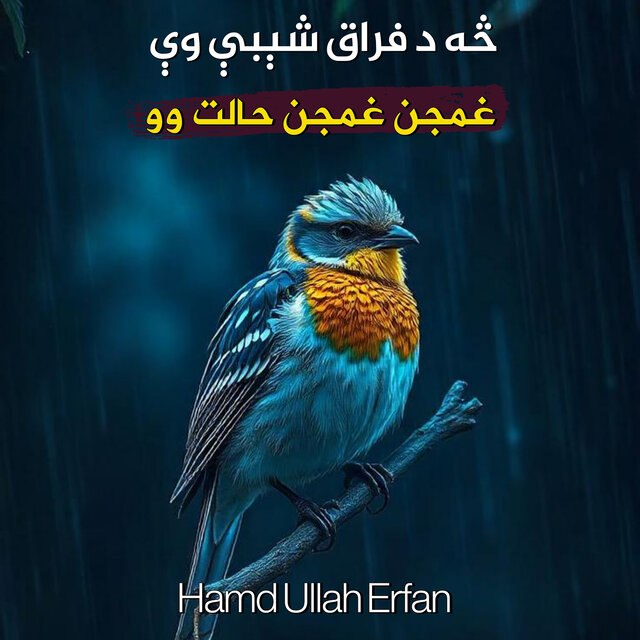 څه د فراق شېبې وې غمجن غمجن حالت وو
