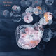 Cover art for album Let Go by we float