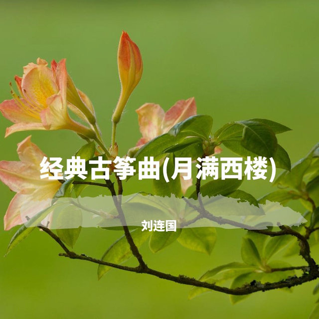 经典古筝曲(月满西楼)