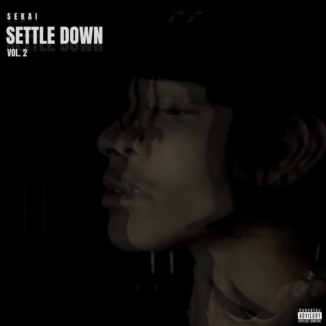 SETTLE DOWN V2