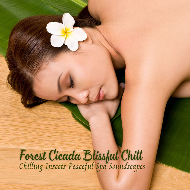 Forest Cicada Blissful Chill: Chilling Insects Peaceful Spa Soundscapes