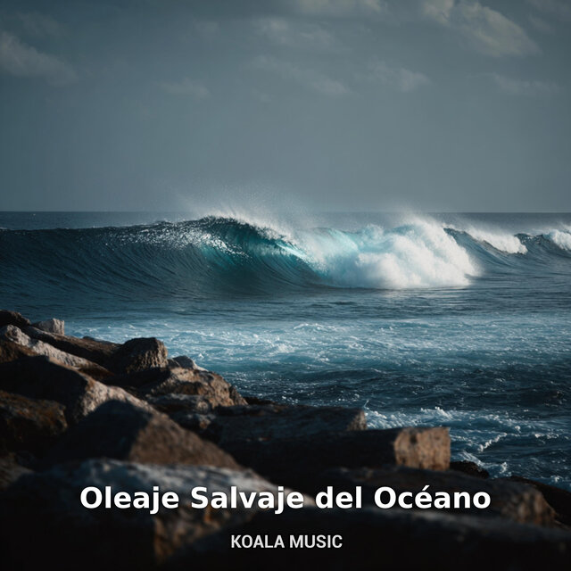 Oleaje Salvaje del Océano