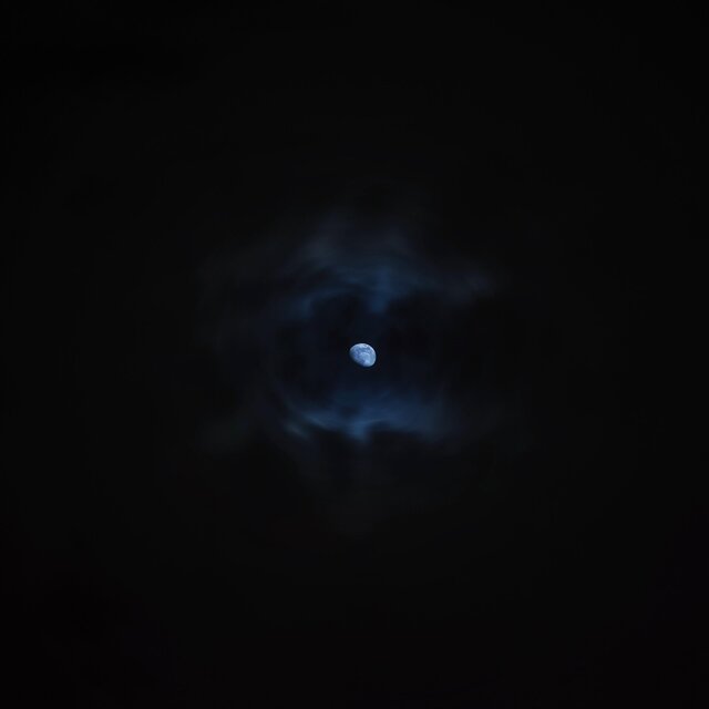 Blue Nights