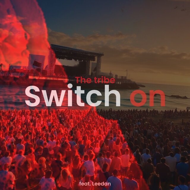 Switch On (feat. Leedan)