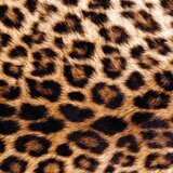 CHEETAH PRINT