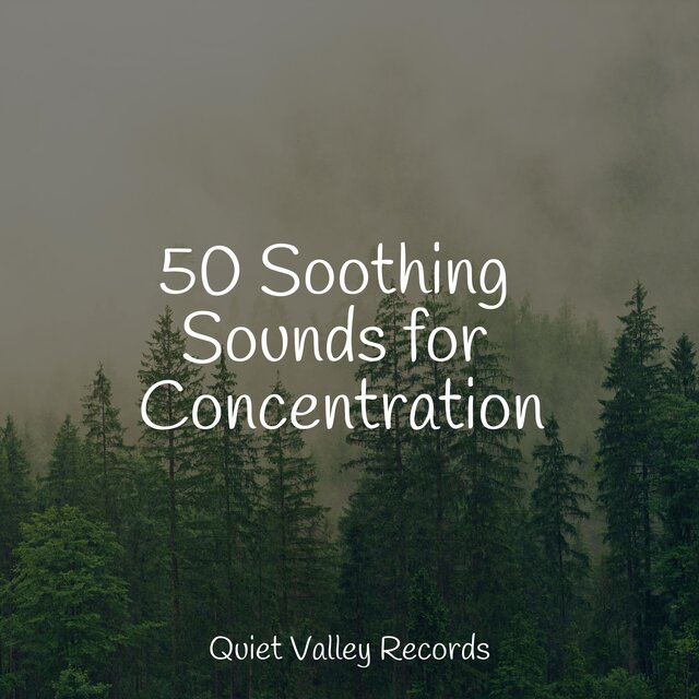 50 Soothing Sounds for Concentration