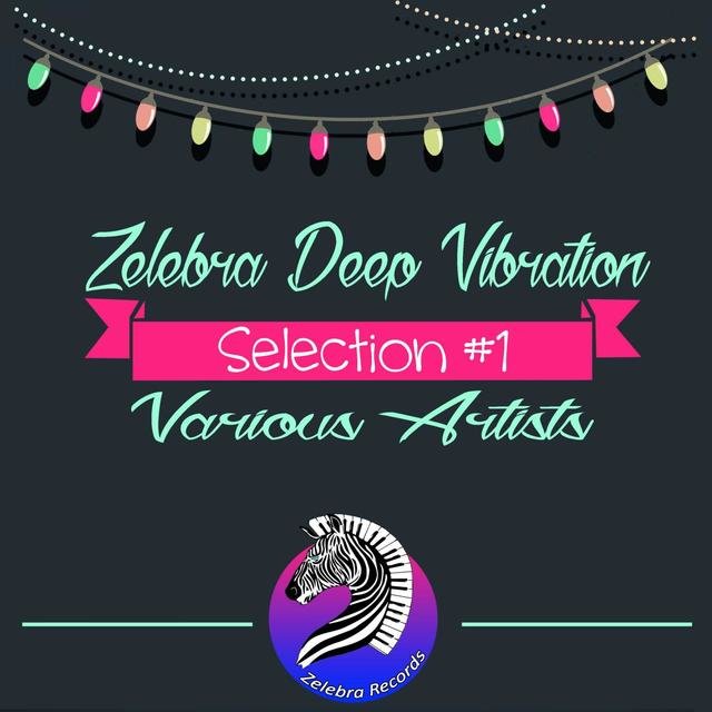 Zelebra Deep Vibration - Selection #1