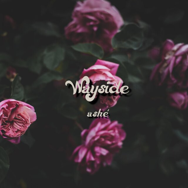 Wayside