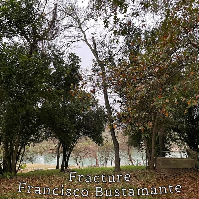 Fracture