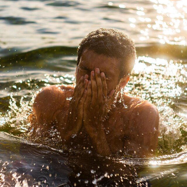 Teich