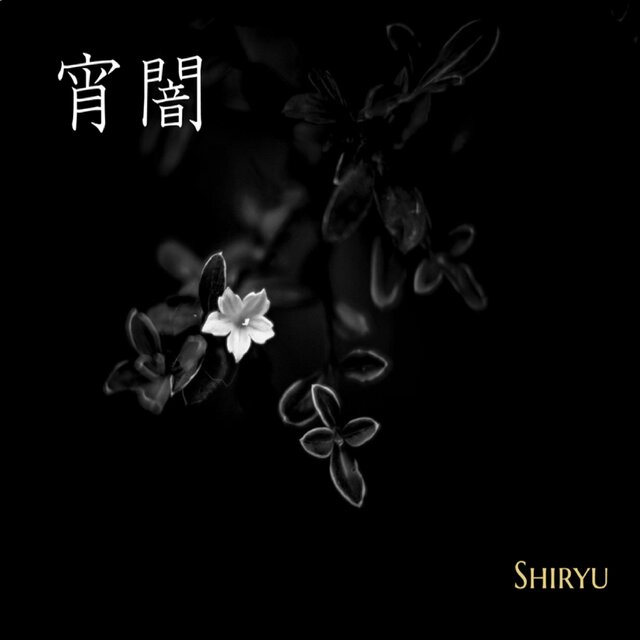 宵闇(yoiyami)