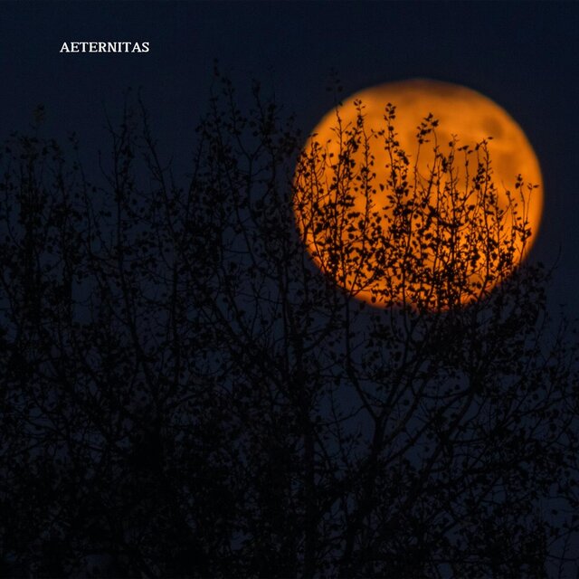 Aeternitas