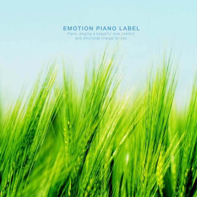 My rest filled with the piano melody