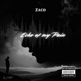 Echo of my Pain