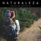 Soledad En El Monte Del Bosque