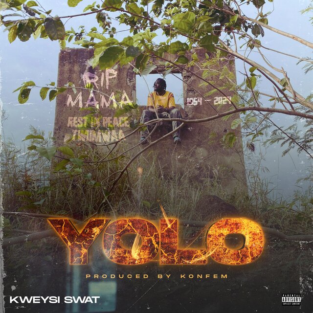 Yolo