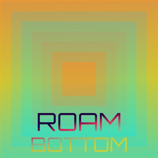 Roam Bottom