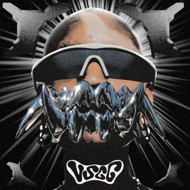 Vsgg