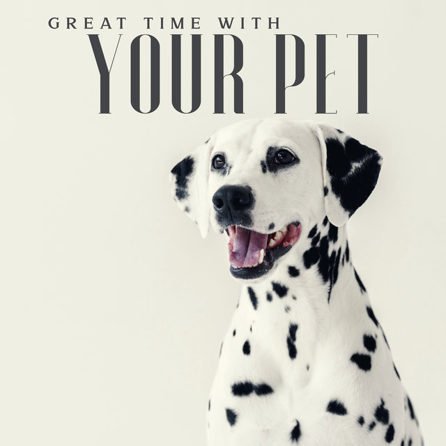 Great Time with Your Pet: Pleasant Jazz Background for Listening at Home