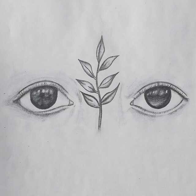 Pedacito de Sol