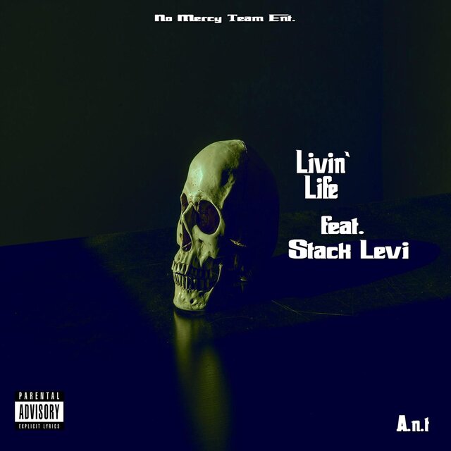 Livin' Life (feat. Stack Levi)