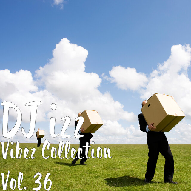 Vibez Collection Vol. 36
