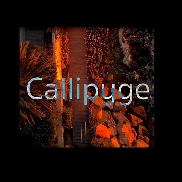 Callipyge