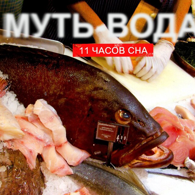 Муть-Вода