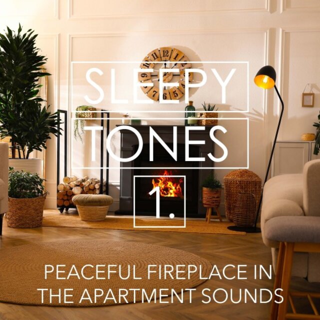Sleepy Tones: Peaceful Fireplace in the Apartment Sounds