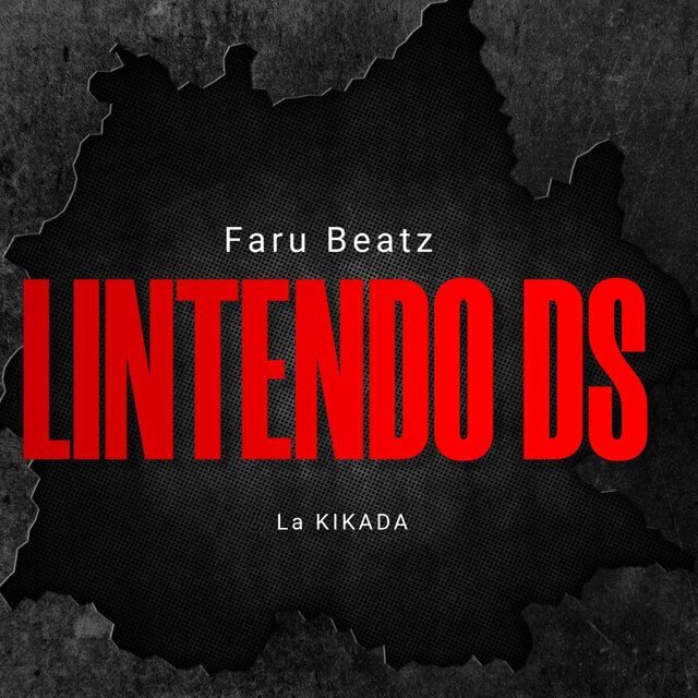 Lintendo Ds