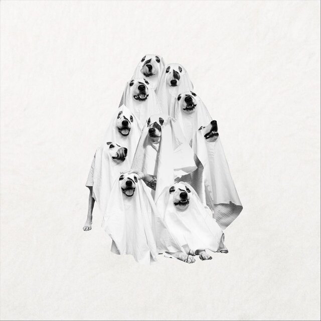 Perro Fantasma