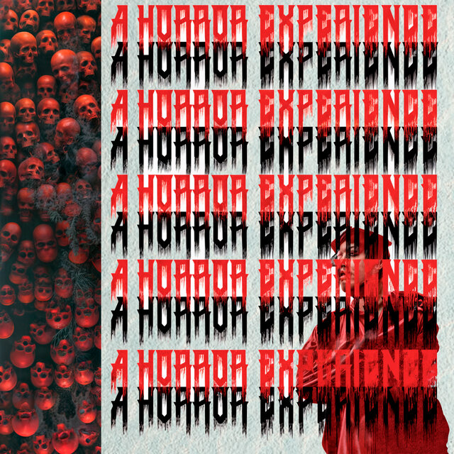 A Horror Experience
