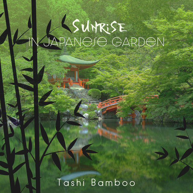Sunrise in Japanese Garden