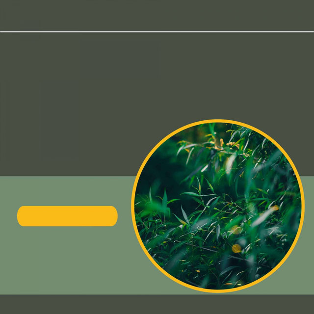 Music for Busy Weekdays Dream Like Trumpet and Alto Sax by Jazz