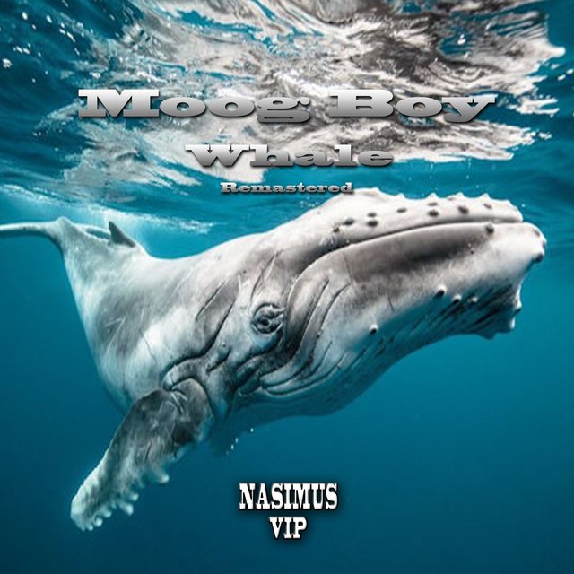Whale Album Remastered