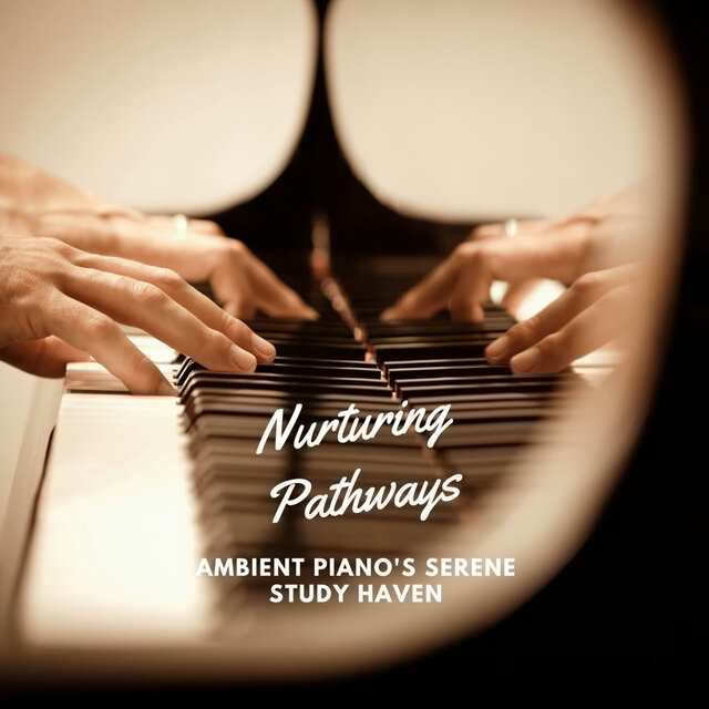 Nurturing Pathways: Ambient Piano's Serene Study Haven