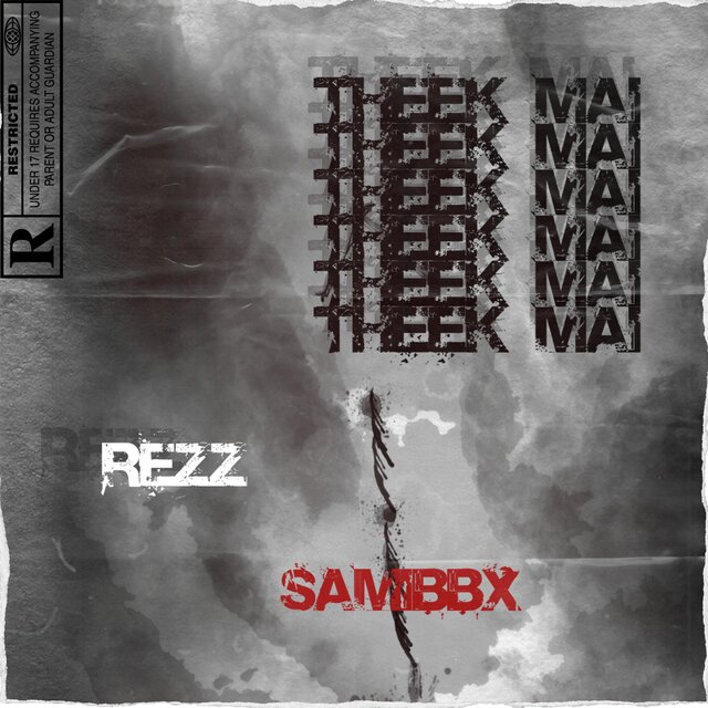 Theek Mein (feat. Rezz)