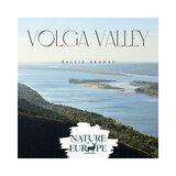 Rainforest Stream Noise: Overtone