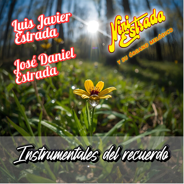 Instrumentales del recuerdo