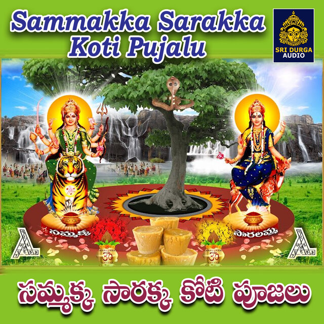 Sammakka Sarakka Koti Pujalu