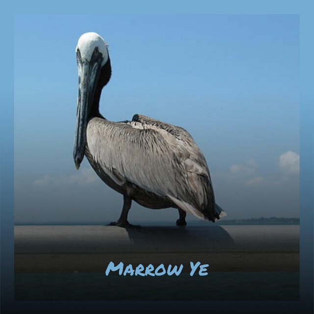 Marrow Ye