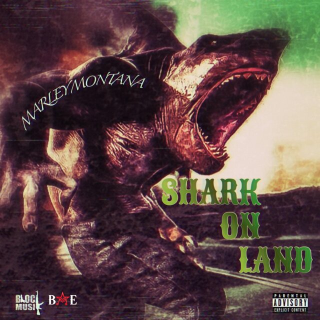 Shark On Land