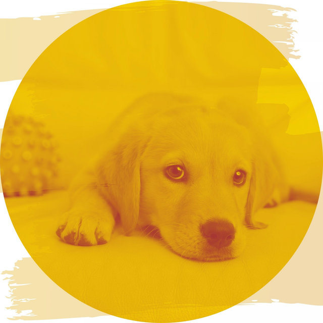 Vibraphone Solos - Music for Keeping Your Dog Happy
