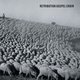 Cover art for album Retribution Gospel Choir by Retribution Gospel Choir