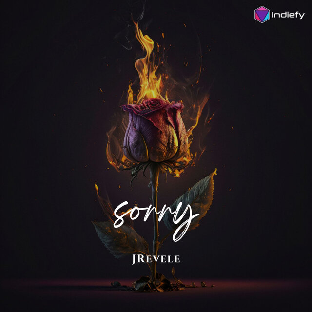 Sorry