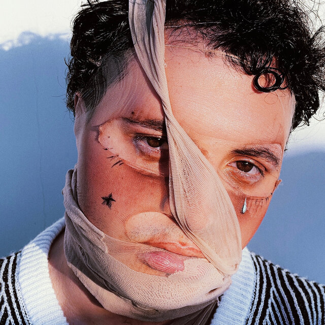 The Expanded Portrait