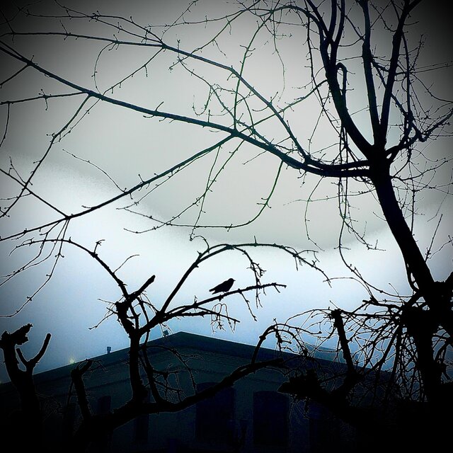 Street Light