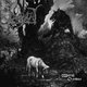 Cover art for album Wolfish Grandeur by Irrlycht