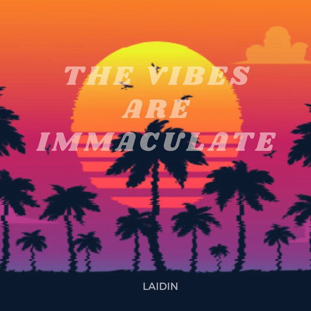 The Vibes Are Immaculate