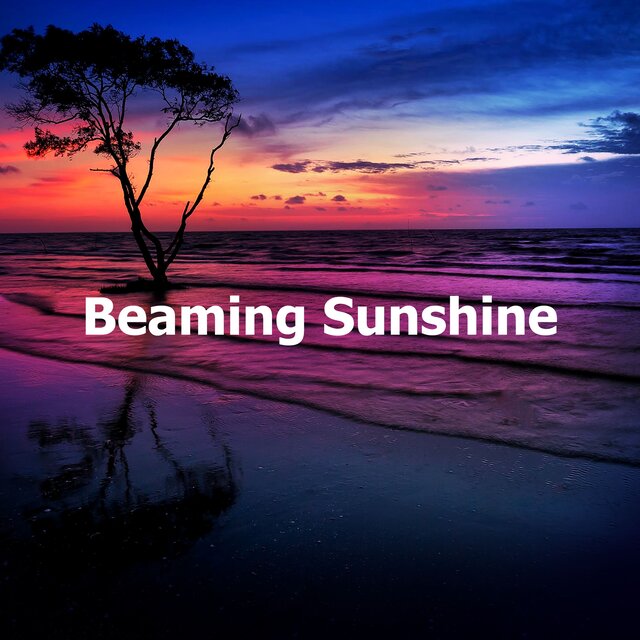 Beaming Sunshine